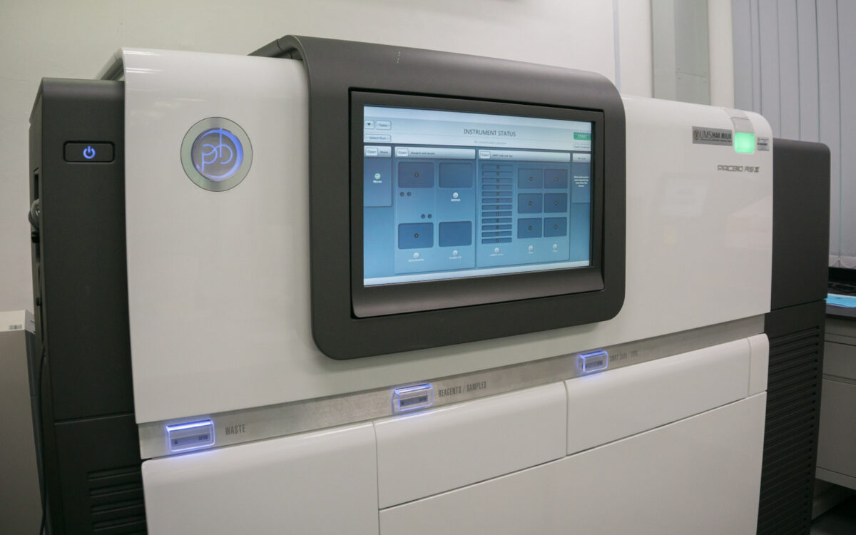 Pacbiorsii Genome Sequencing Facility
