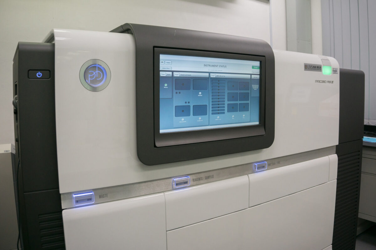 Pacbiorsii Genome Sequencing Facility